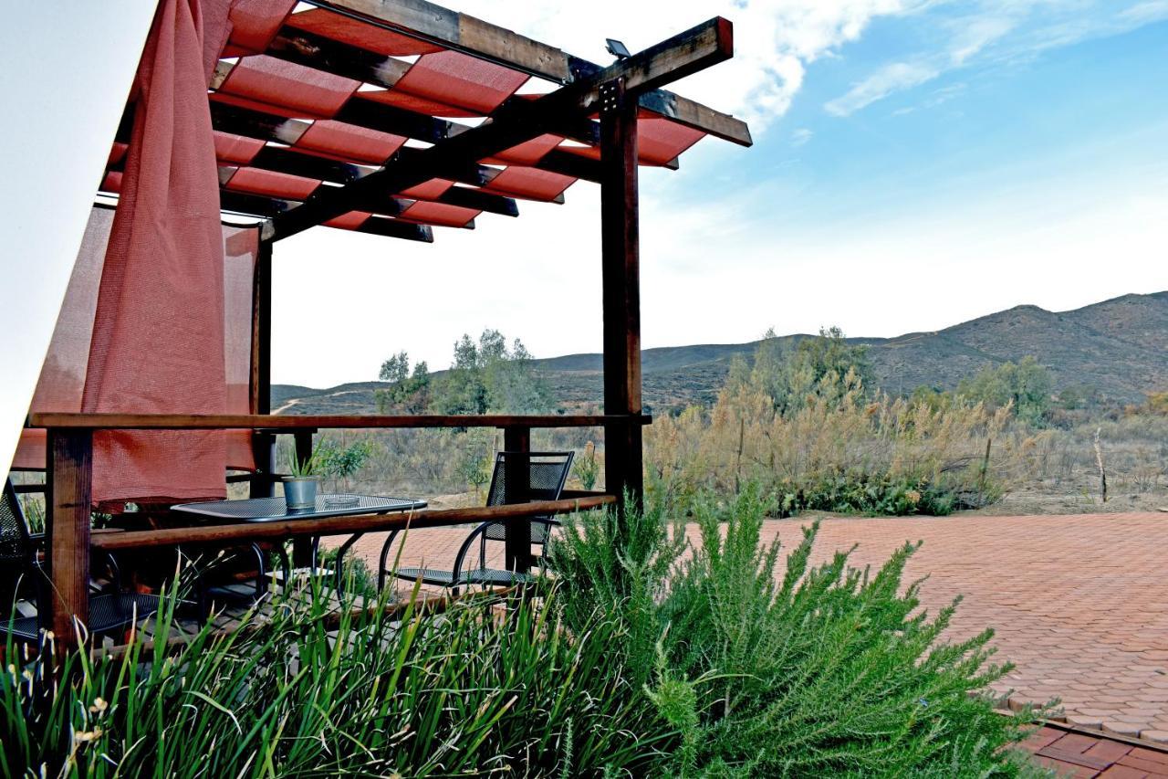 Vides Del Rio Suites Valle de Guadalupe Esterno foto